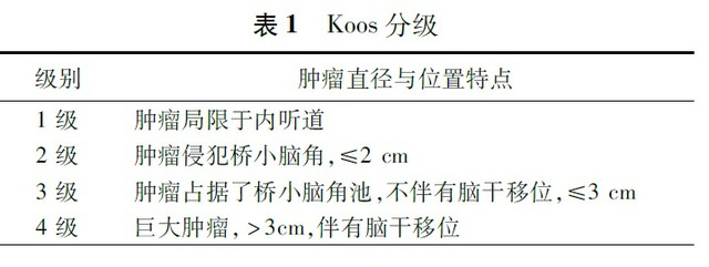 koos分级.jpg